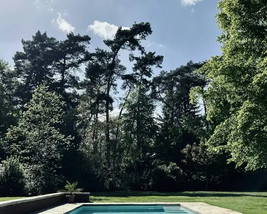 Rectangular in-ground pool under tall white pines and leafy trees on an Ontario lot