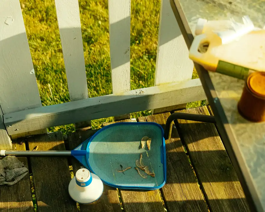 Pool skimmer net and chlorine floater on a wooden deck beside the lawn